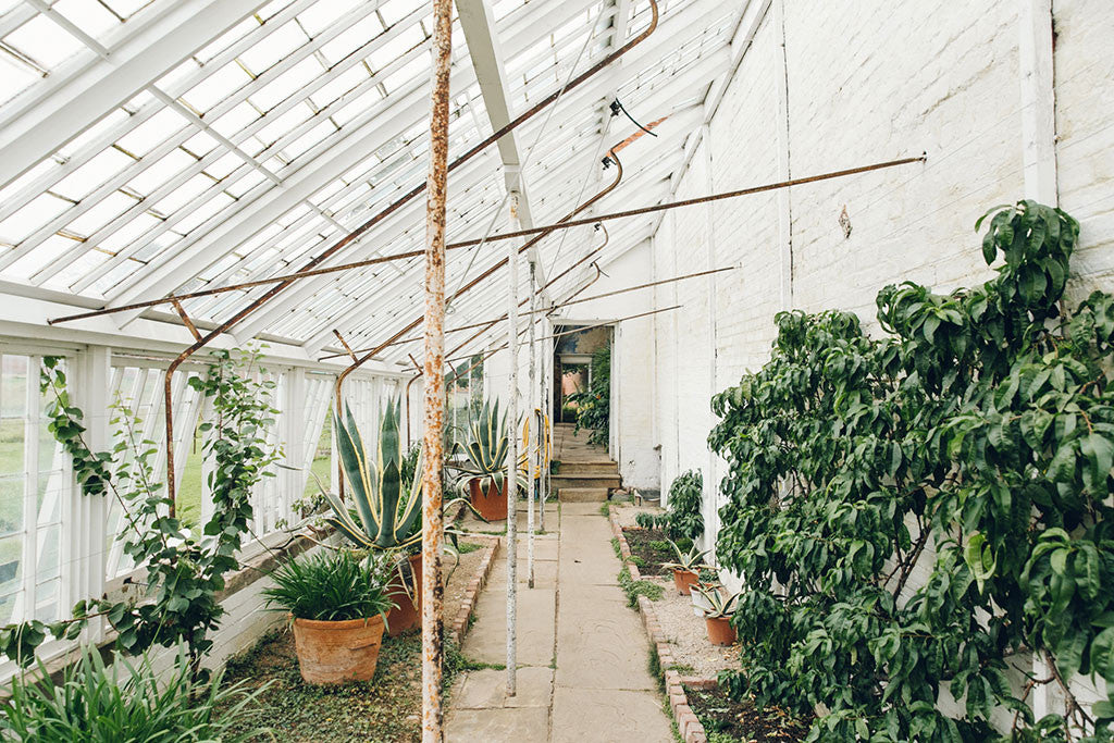 Calke Abbey Gardens - National Trust - Derbyshire - by India Hobson & Magnus Edmondson