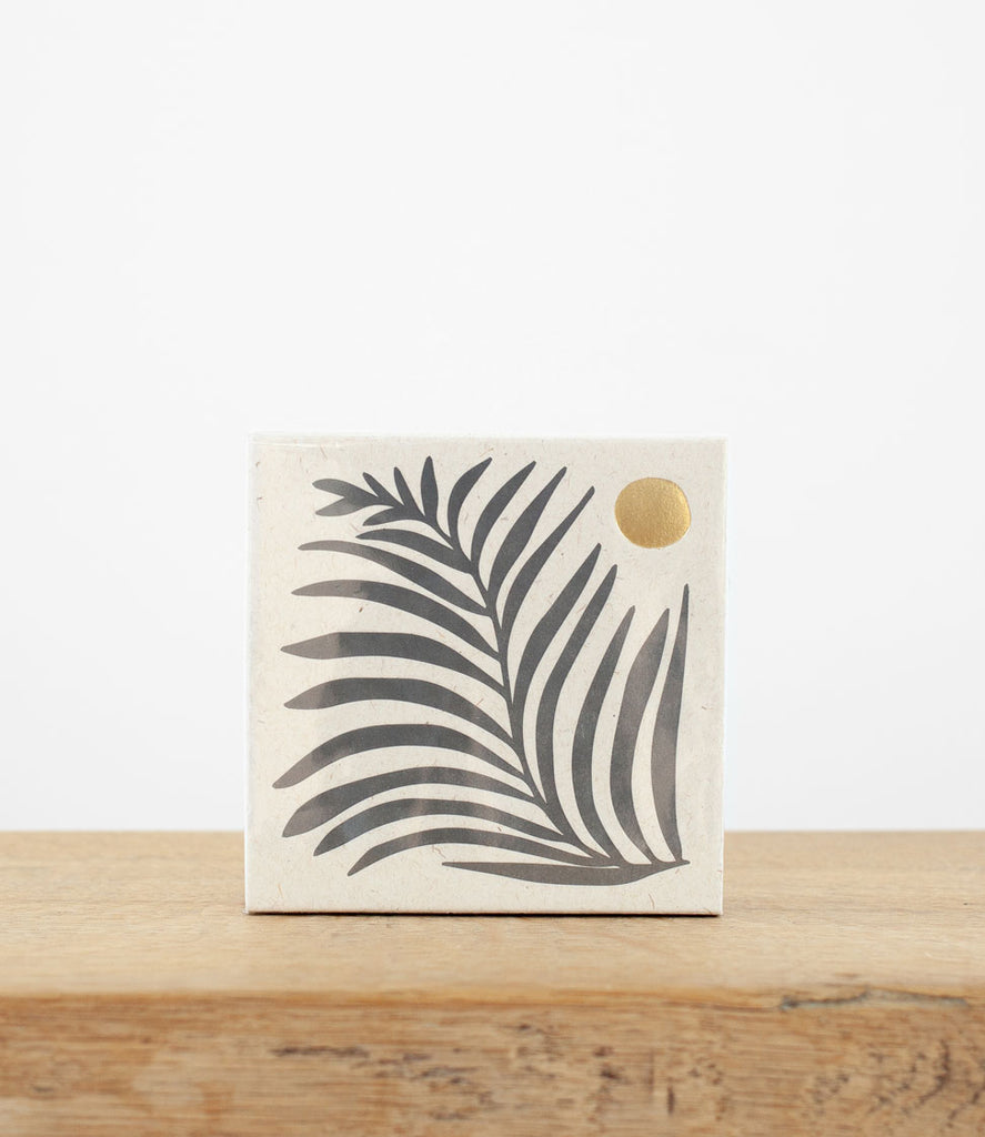 Safety Matches - White Fern